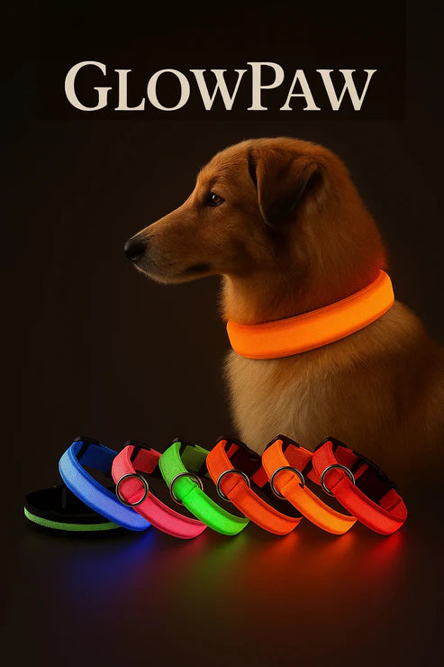 PetHaven™ GlowPaw | LED Collar Buy 1 Get 1 Free
