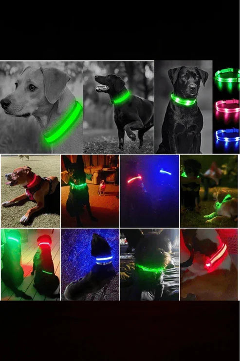 PetHaven™ GlowPaw | LED Collar Buy 1 Get 1 Free